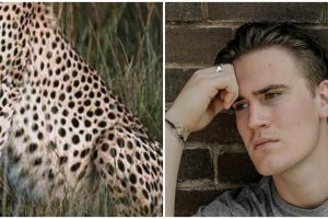 [KUIS] Tebak gambar, tes seberapa kamu tahu nama hewan melalui potongan foto ini