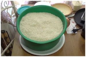 Trik membasmi semut di tumpukan beras dengan cepat agar layak dikonsumsi lagi