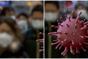 WHO tegaskan Mpox bukan bentuk baru Covid-19, kenali perbedaan dan 7 cara mencegahnya