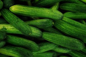 [KUIS] Kamu bisa bedain timun yang pahit dan nggak? Coba tes pengetahuanmu di sini