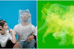 [KUIS] Tebak gambar, hewan apa yang kamu lihat pertama kali ungkap kepribadian tersembunyimu