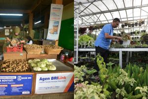 Jadi milestone sejarah inklusi keuangan di Indonesia, jumlah AgenBRILink tembus 1 Juta