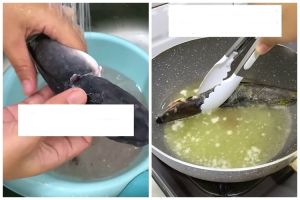 Jangan cuma dibersihkan insangnya, ini trik agar ikan lele bebas bau amis saat diolah
