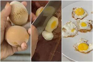 [KUIS] Sejago apa kamu bertahan di tanggal tua dengan bahan dapur seadanya? Cek kemampuanmu di sini