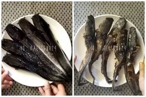 Tanpa dibaluri tepung, ini trik goreng ikan lele agar hasilnya lurus, tak meletup, dan lengket