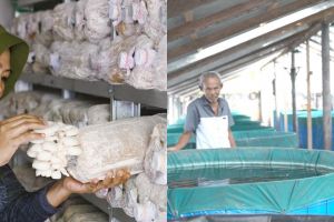 Dukung pengembangan ekonomi desa, program desa BRILiaN 2024 terus berlanjut