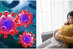 Waspada penularan virus Mpox pada ibu hamil, kenali gejala, dampak pada janin, dan cara mencegahnya