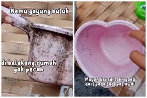 Trik bersihkan gayung berjamur dan berkerak tebal ini ampuh pakai tambahan 1 bahan dapur