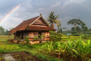 Mengenal 5 macam rumah adat di Pulau Jawa, warisan budaya yang memukau