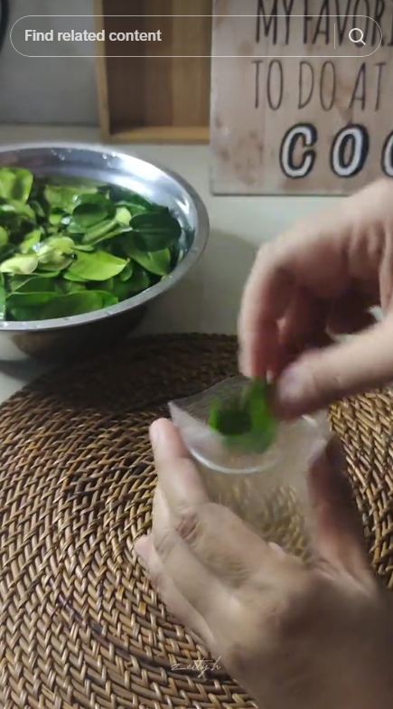 Trik menyimpan daun jeruk agar tetap hijau dan segar hingga 3 bulan