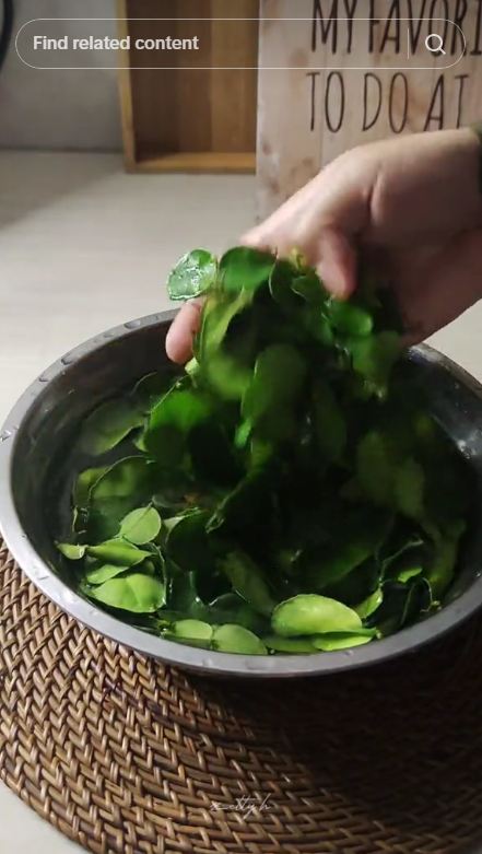 Trik menyimpan daun jeruk agar tetap hijau dan segar hingga 3 bulan