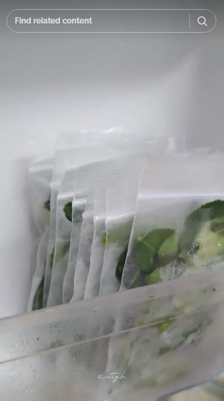 Trik menyimpan daun jeruk agar tetap hijau dan segar hingga 3 bulan