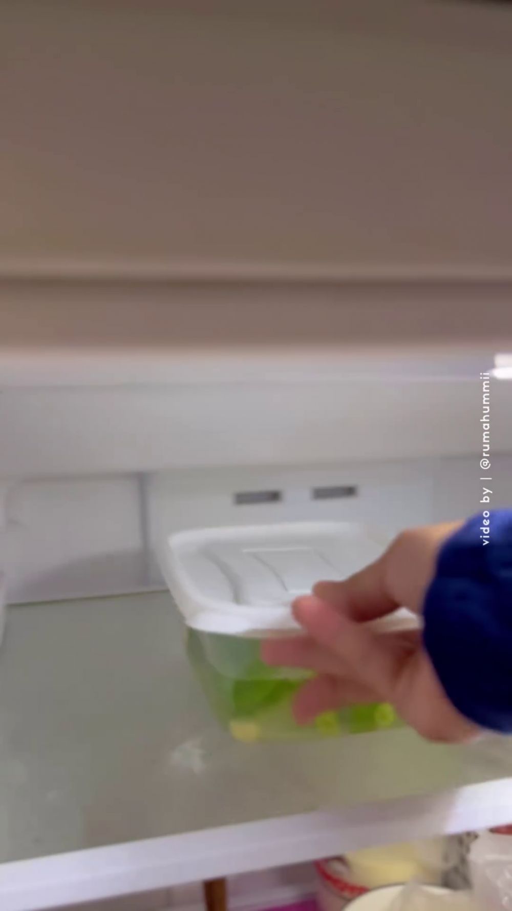 Tanpa dibekukan, ini cara simpan daun bawang agar tetap hijau segar dan tidak busuk hingga 2 minggu