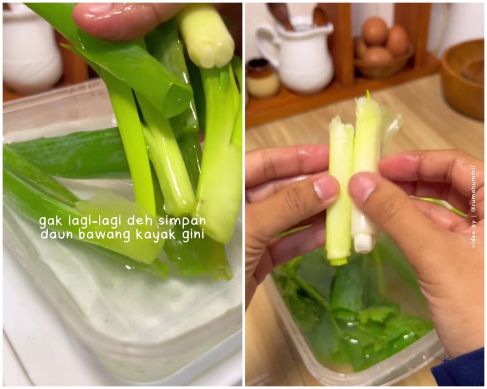 Tanpa dibekukan, ini cara simpan daun bawang agar tetap hijau segar dan tidak busuk hingga 2 minggu