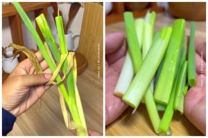 Tanpa dibekukan, ini cara simpan daun bawang agar tetap hijau segar dan tidak busuk hingga 2 minggu