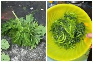 Tanpa tanah liat dan asam Jawa, ini trik ampuh hilangkan pahit daun pepaya pakai 1 bumbu dapur