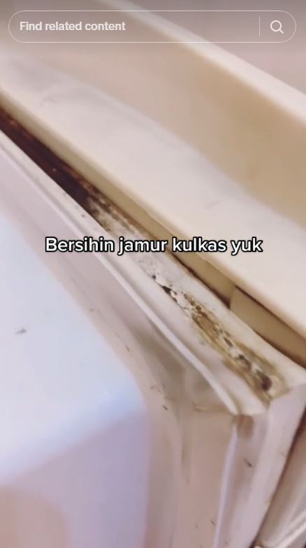 Cara ampuh menghilangkan jamur di karet pintu kulkas tanpa sabun