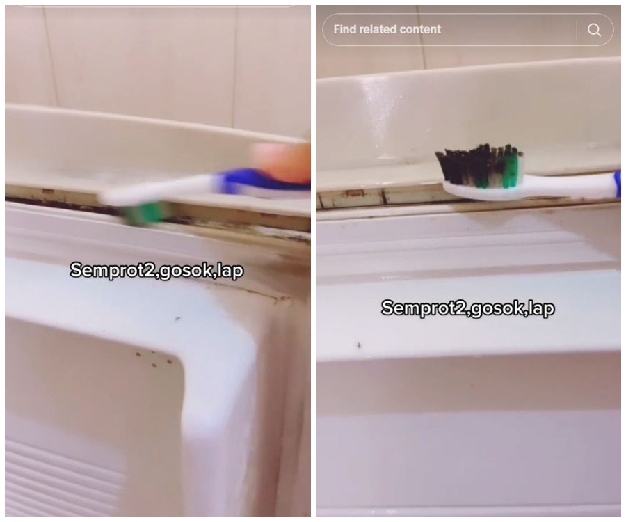 Cara ampuh menghilangkan jamur di karet pintu kulkas tanpa sabun