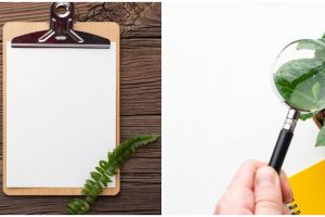 10 Contoh teks laporan percobaan tentang tumbuhan disertai dengan definisi, struktur, dan fungsinya