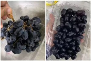 Cara cepat menghilangkan lapisan lilin pada anggur pakai 1 bahan pembuat kue