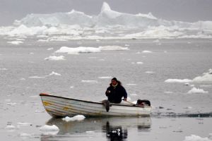 Macam-macam adaptasi pada makhluk hidup dan contohnya
