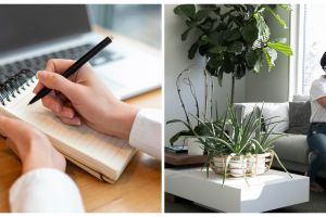 5 Contoh teks laporan hasil observasi tentang lingkungan rumah, singkat dan mudah dimengerti