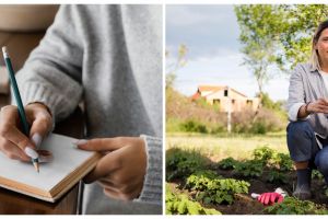 5 Contoh teks laporan hasil observasi benda mati, singkat dan mudah dipahami