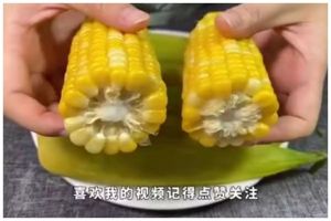 Trik merebus jagung agar tetap empuk dan manis alami