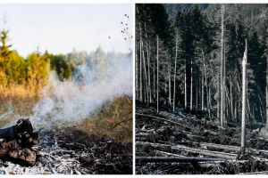 3 Macam pencemaran dan penyebabnya yang mengakibatkan kerusakan lingkungan hidup, wajib dihindari