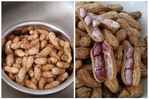 Cara memasak kacang tanah agar gurih dan kesat tanpa direbus maupun disangrai