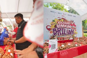 Pemberdayaan BRI bikin klaster Kelengkeng di Tuban makin bersinar