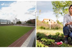 5 Contoh teks laporan hasil observasi tentang lapangan sekolah, lengkap dan terstruktur