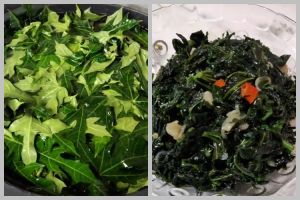 Tanpa Bahan Tambahan, ini cara mudah mengolah daun pepaya agar teksturnya empuk dan antipahit