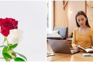 5 Contoh teks laporan hasil observasi tentang bunga mawar, pahami definisi dan strukturnya