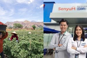 Selaras dengan standar ESG internasional, kredit BRI di sektor berkelanjutan capai Rp793,6 Triliun