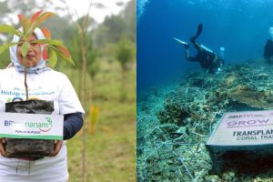 Mewujudkan keuangan berkelanjutan, BRI perkuat implementasi ESG