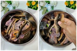 Trik basmi lendir dan bau amis belut ini ampuh bikin kesat cuma andalkan 2 bahan dapur