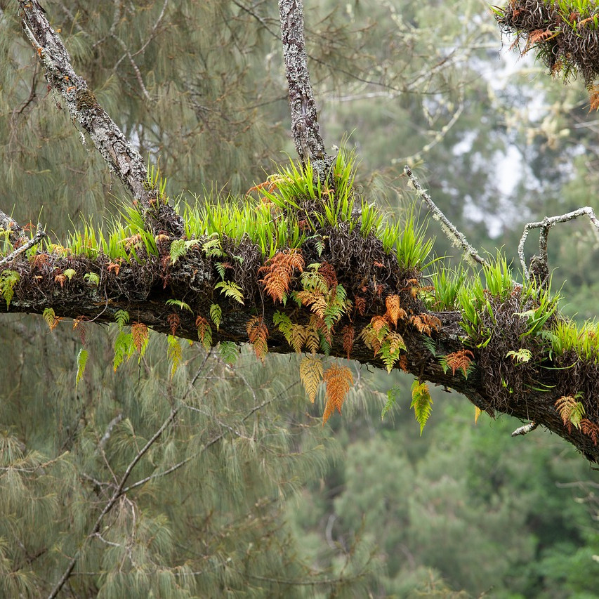 6 Macam interaksi antar komponen biotik dalam ekosistem