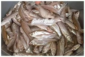 Cara praktis hilangkan formalin pada ikan segar dalam 15 menit
