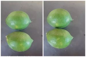 Cara menyimpan jeruk nipis agar tetap segar dan tidak menguning hingga 2 bulan