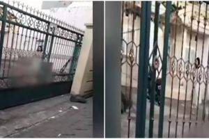 Kisah mengenaskan ibu di Makassar, minta anak beberes rumah tapi malah dibalas penganiayaan