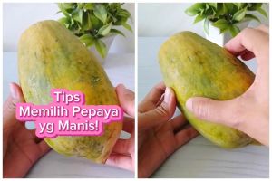 Jangan cuma ditekan, ini trik memilih pepaya manis, segar, dan matang sempurna sebelum dikupas