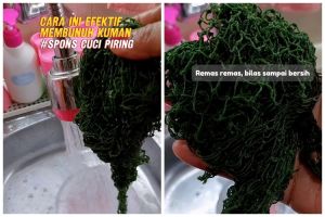 Kerap jadi sarang kuman, ini trik cuci sabut cuci piring agar lebih higienis dan tahan lama dipakai