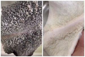 Trik membersihkan babat hitam agar menjadi putih pakai satu bahan sederhana