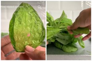Trik membuat keripik bayam krispi dan gurih tanpa pakai tepung, mudah dipraktikkan di rumah
