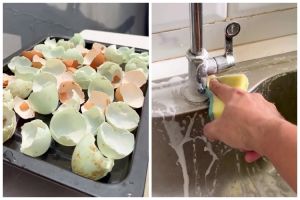 Jangan dibuang, ini cara pakai cangkang telur untuk bersihkan kerak di wastafel dan kompor