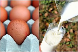 Jangan buang dulu! 10 bahan makanan kedaluwarsa ini ternyata masih aman dikonsumsi