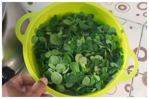 Cukup gunakan 3 bahan dapur, ini cara merebus daun kelor agar rasanya tidak pahit dan langu