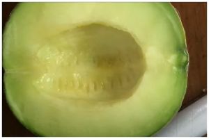Trik simpan melon yang sudah dibelah agar tak mengerut dan lembek sampai 10 hari, pakai 1 alat dapur
