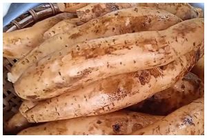 Cuma andalkan kertas, ini trik menyimpan ubi jalar agar tidak bertunas dan tahan lama hingga 6 bulan